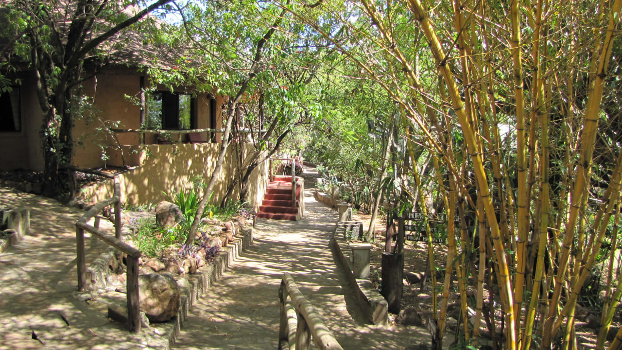 На территории Hotel Masai Mara Sopa Lodge