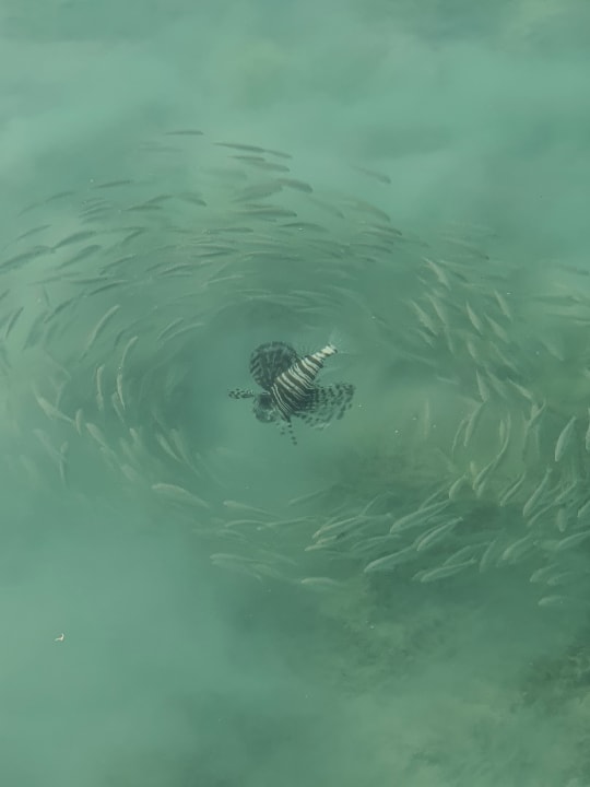 Strand Casa Mare Resort