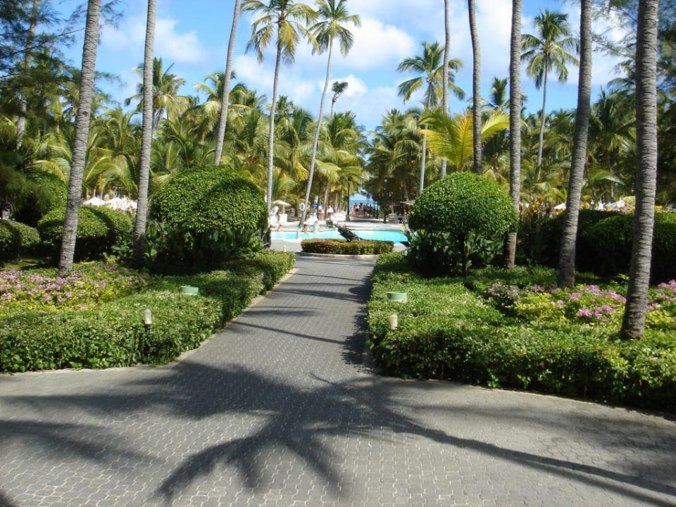 Weg zum Pool / Strand Hotel Riu Palace Macao - Adults only