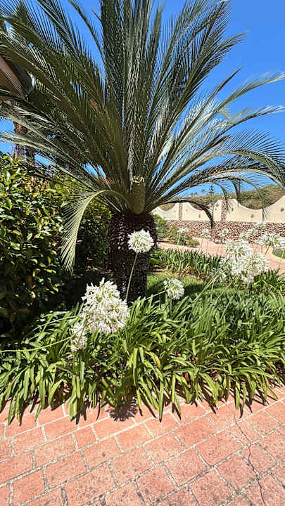 Gartenanlage Hotel Residence Santa Chiara