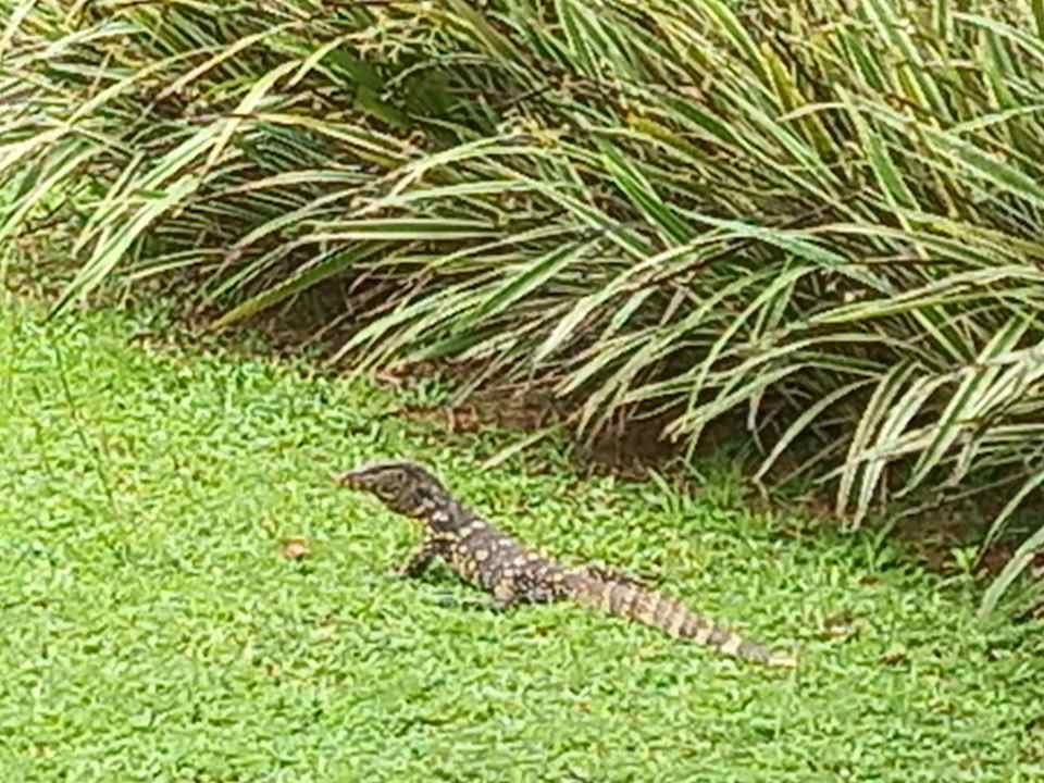 Außenansicht The Palms