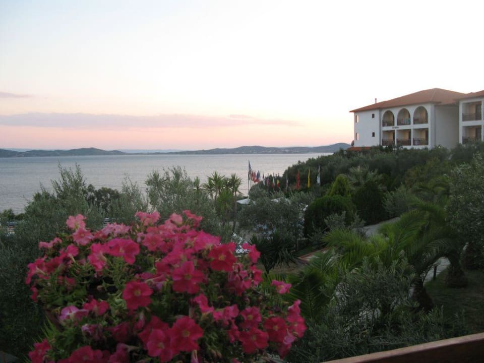 Ogród hotelowy Akrathos Beach Hotel