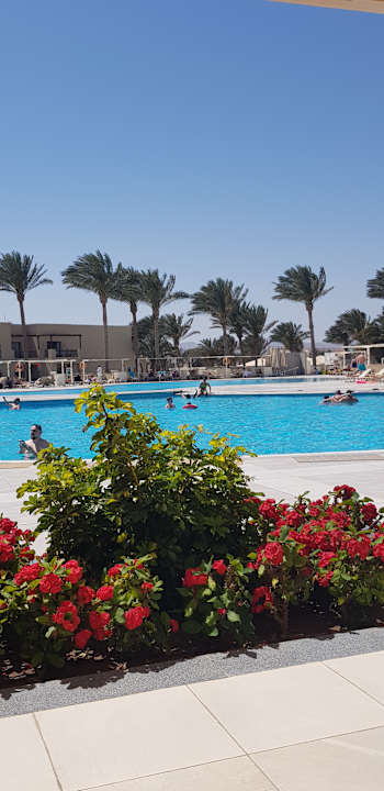 Pool Jaz Lamaya Resort