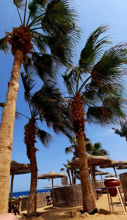 Strand Pickalbatros Citadel Resort