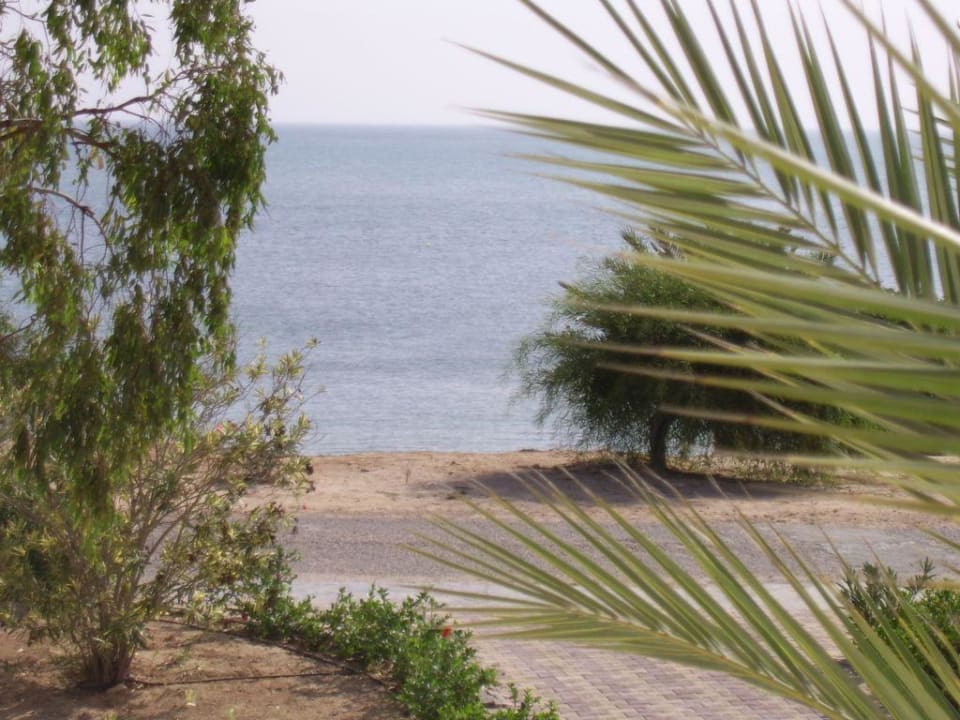 Aussicht von der Terrasse Hotel El Mouradi Djerba Menzel