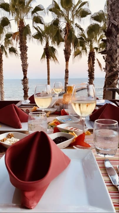 Gastro Arum Barut Collection