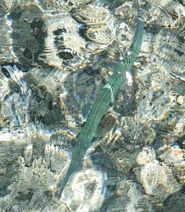 Sonstiges Lazuli Hotel Marsa Alam