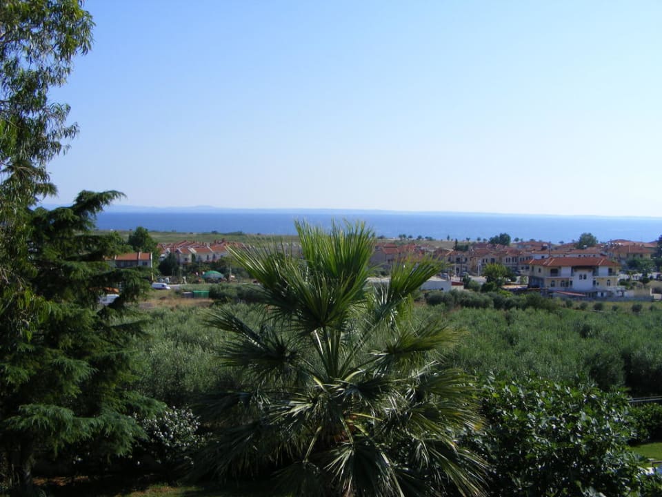 Ausblick Haus des Künstlers