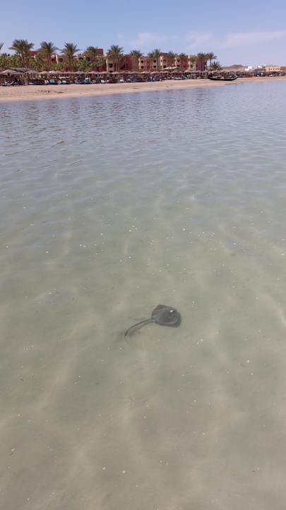 Strand Casa Mare Resort