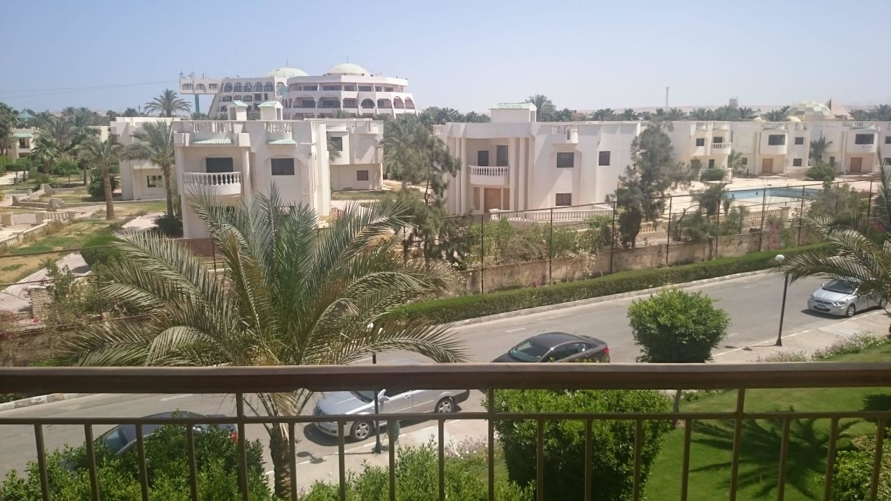 Aussicht  Desert Rose