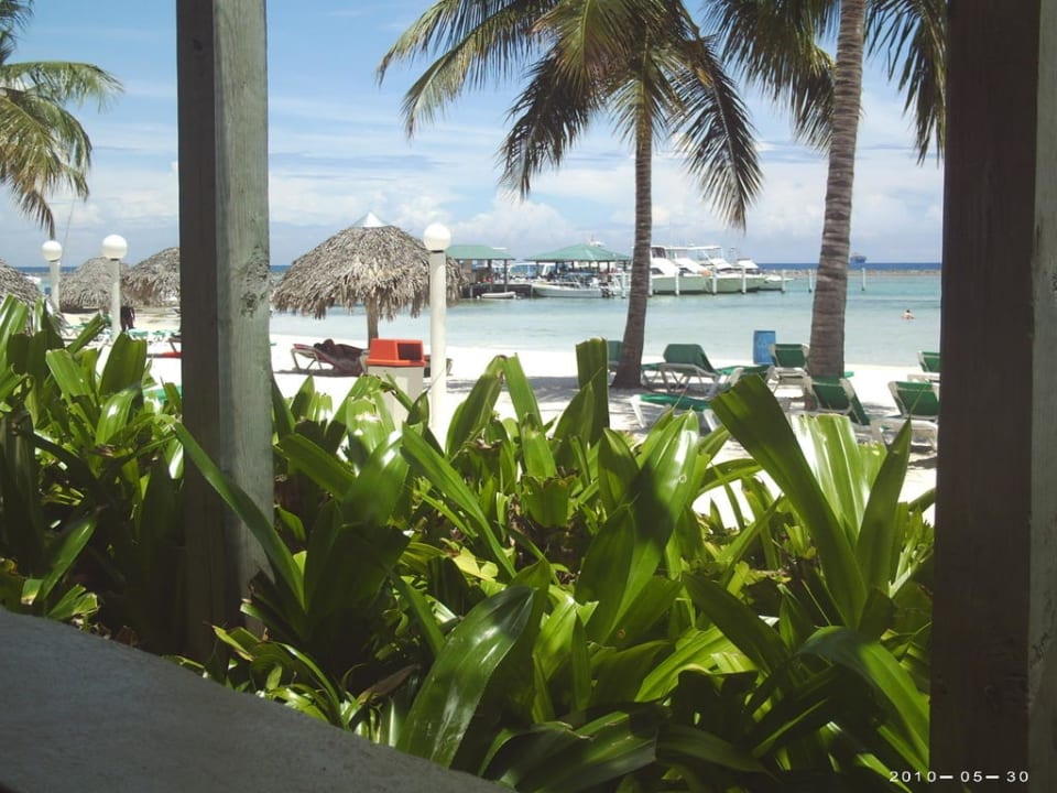 Ausblick Essbereich whala!boca chica