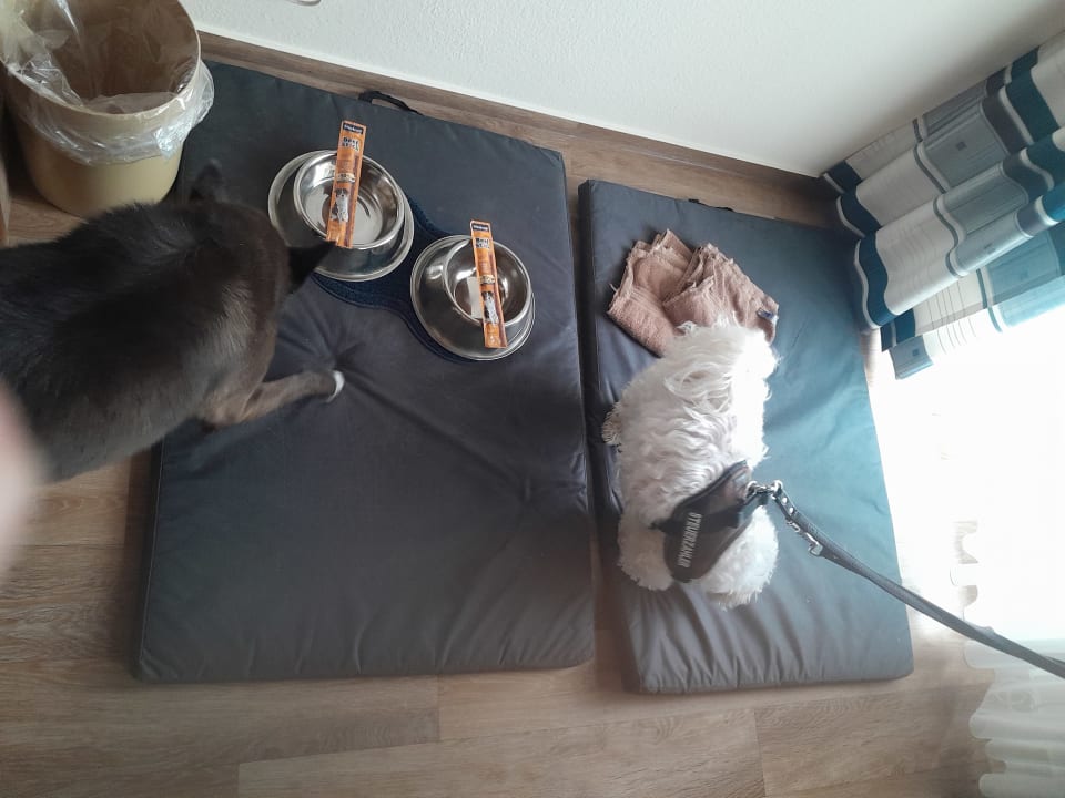 Zimmer Landgasthof Hotel Hirsch