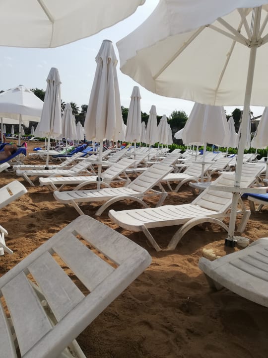 Strand Can Garden Beach