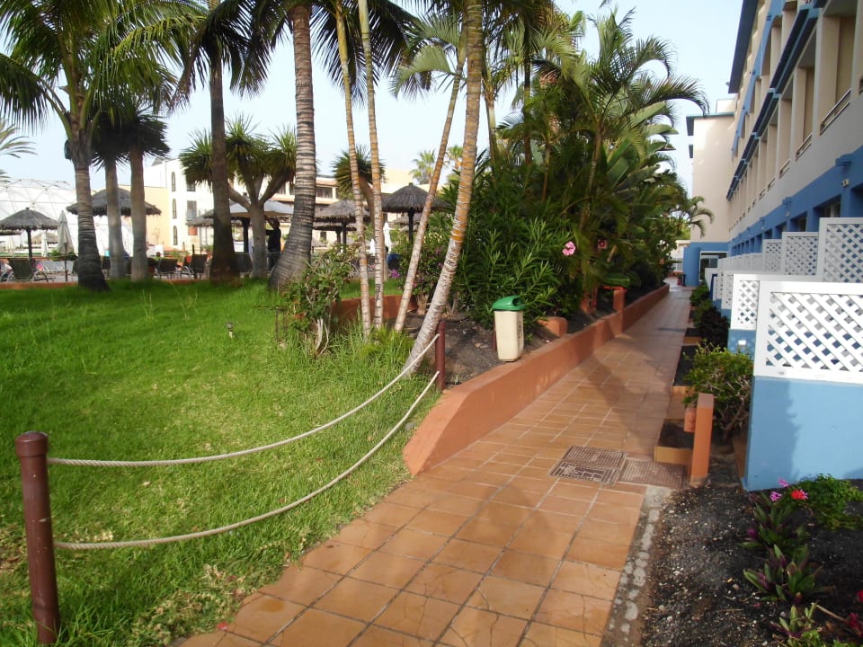Familienzimmer Poollage IFA Altamarena by Lopesan Hotels