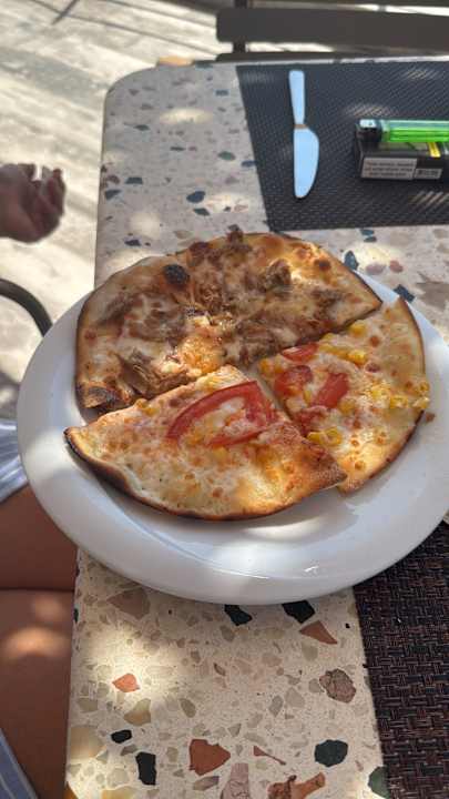 Gastro Seashell Vega