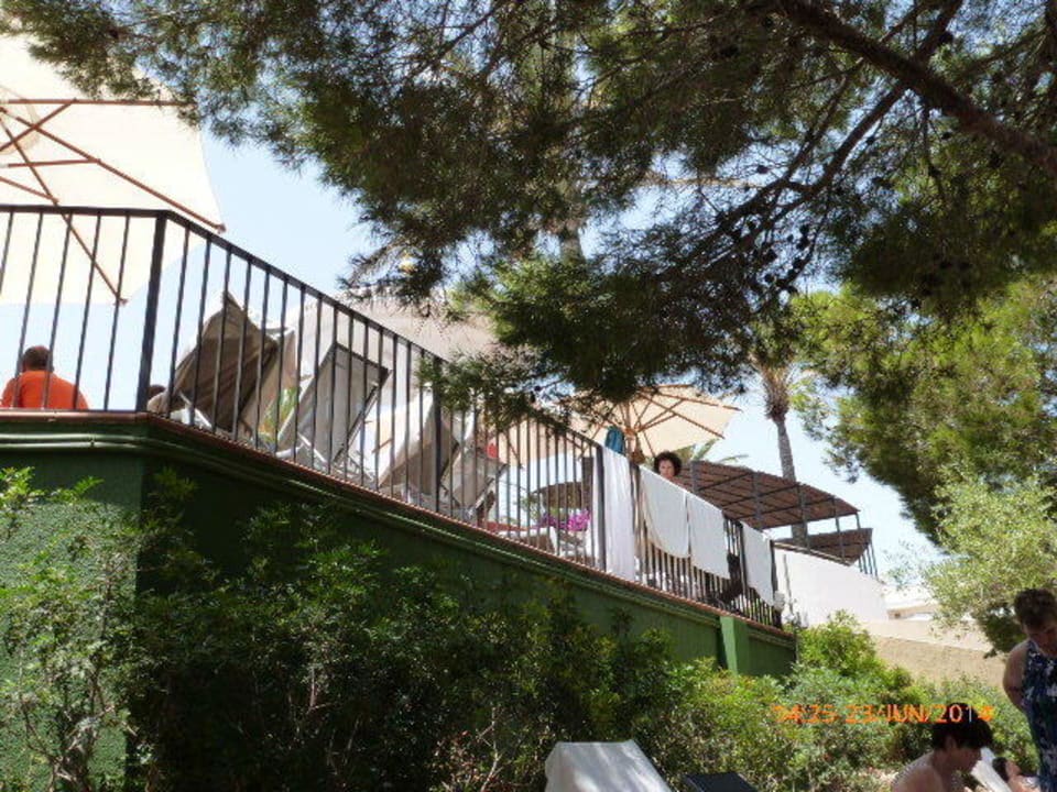 Im Pinienwald ROBINSON CALA SERENA