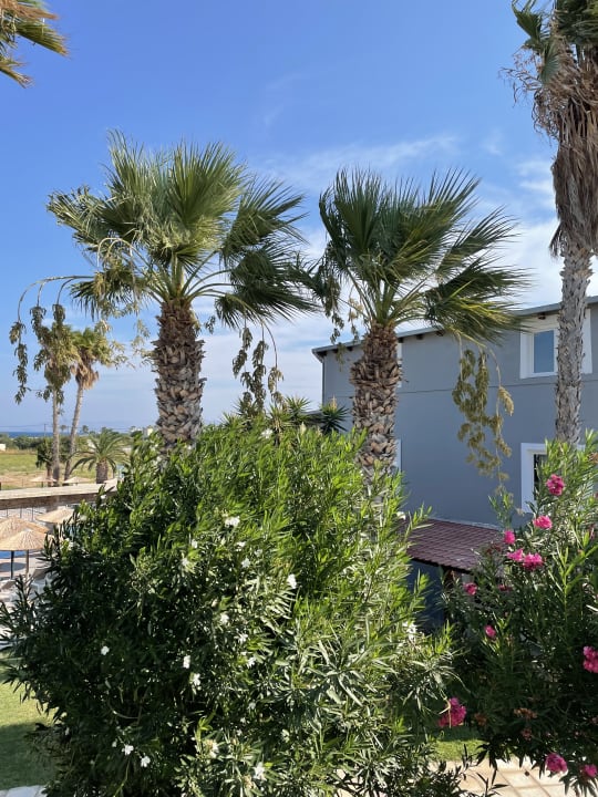 Gartenanlage Corali Hotel