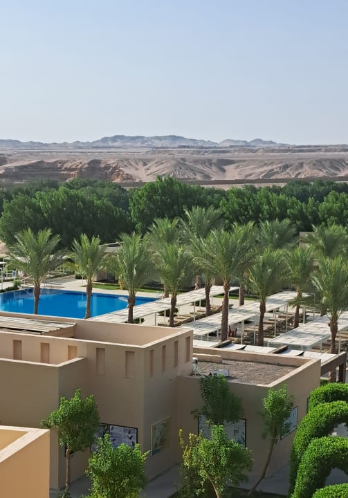 Gartenanlage Steigenberger Makadi Hotel - Adults only