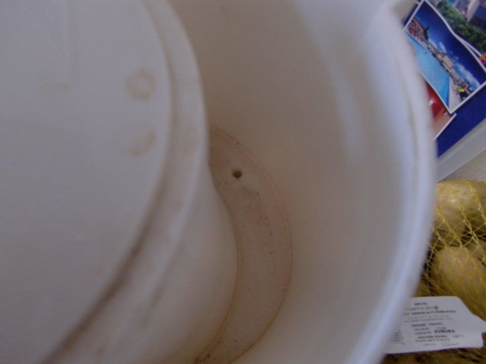 Kaffeemaschine  Hotel Les Jardins de Neptune