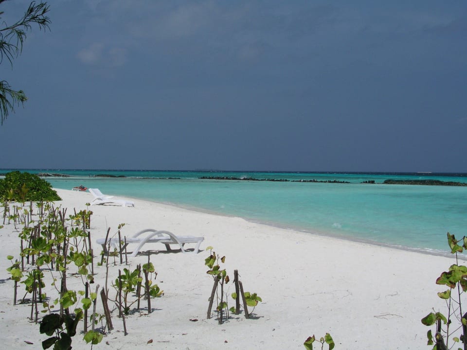 Ost-Seite Strand Summer Island Maldives