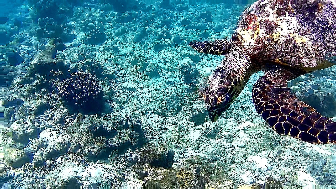 Sport & Freizeit Adaaran Select Hudhuran Fushi - Premium All Inclusive