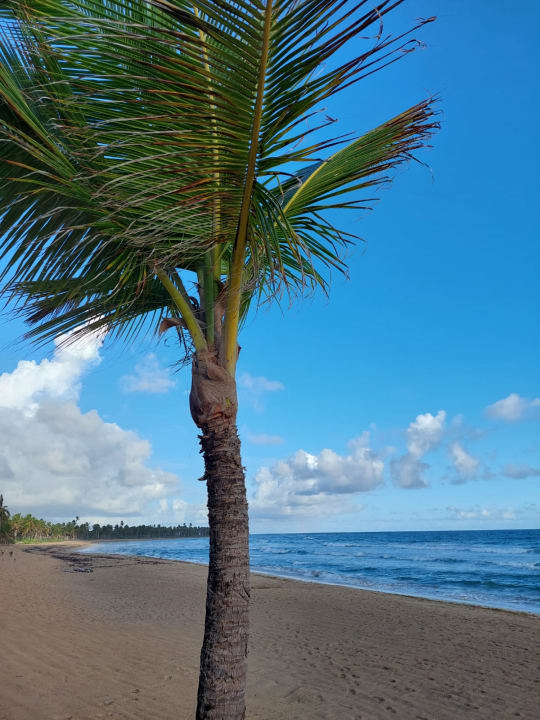 Strand Excellence Punta Cana - Adults only