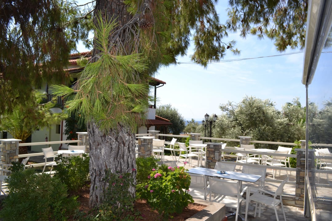 Terrasse der Poolbar Blue Dolphin Resort Hotel