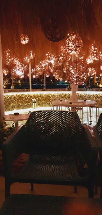 Sonstiges Desert Rose