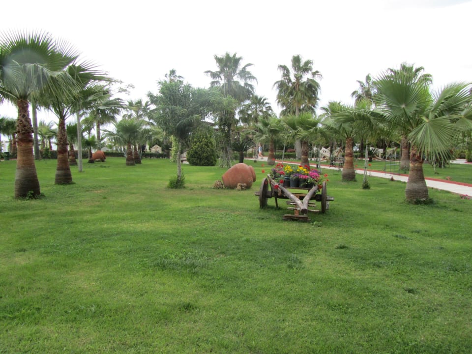 Saphir Resort & Spa Saphir Resort & Spa