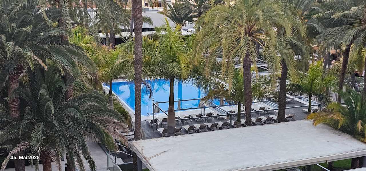 Pool Hotel Riu Palace Palmeras