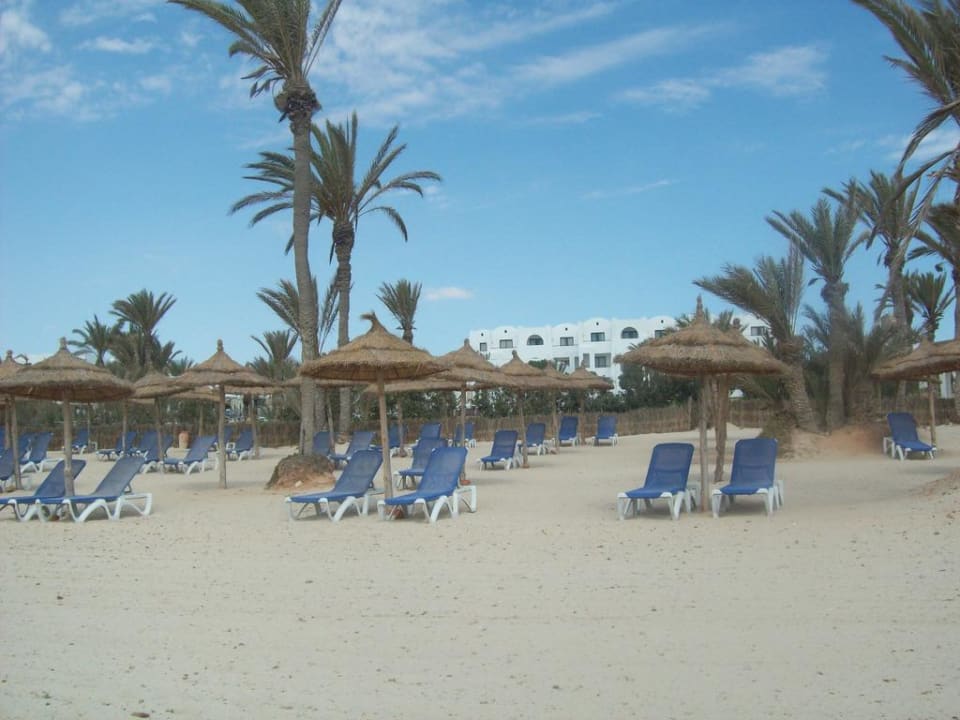 Blick vom Strand zum Hotel Club Palm Azur