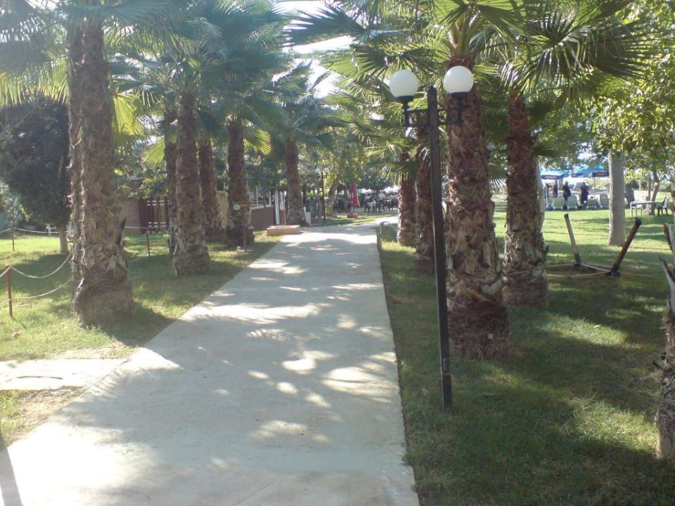Weg zum Strand Hotel Gardenia Beach