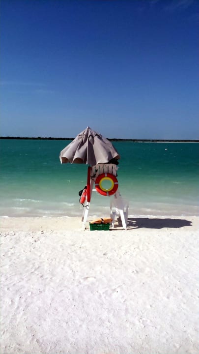 Cool Crowne Plaza Hotel Yas Island