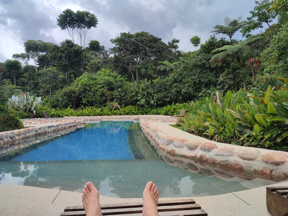 Pool Hakuna Matata Amazon  Lodge