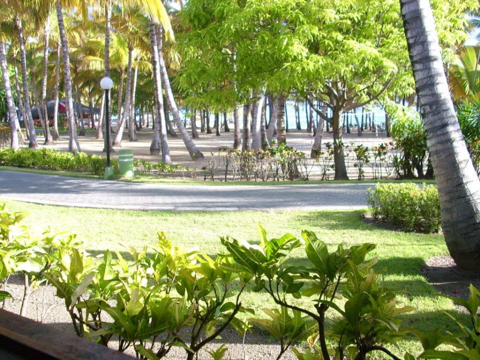 Blick vom Restaurant zum Strand Playabachata Hotel