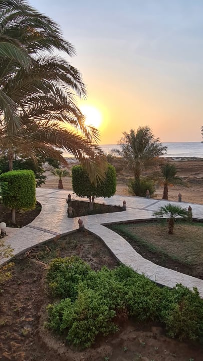 Gartenanlage Shams Alam Beach Resort