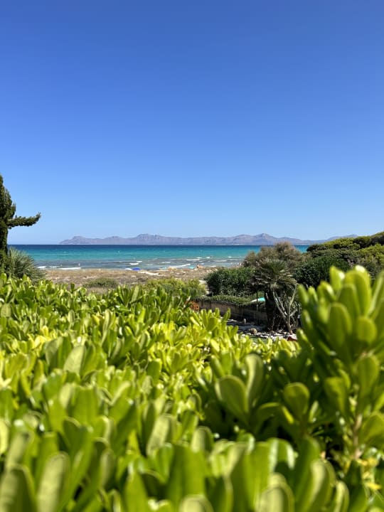 Gartenanlage Grupotel Natura Playa