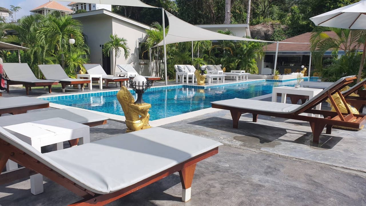 Pool CoconutsPalm Resort
