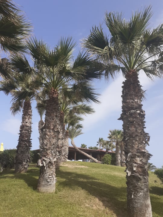 Gartenanlage Sahara Beach Aquapark & Resort