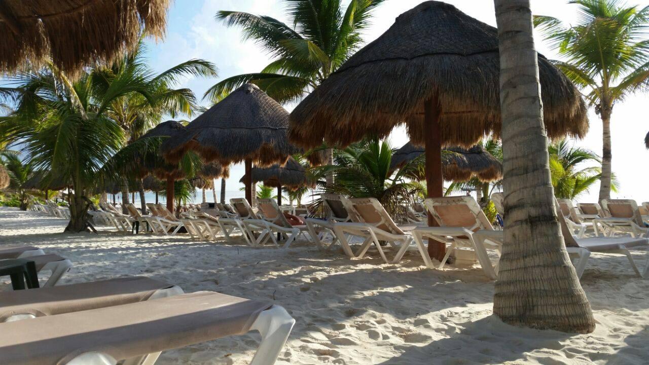 Man hatte immer einen Platz und Schatten.  Catalonia Playa Maroma