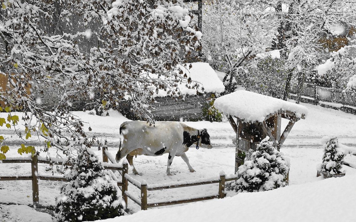 Sonstiges Hotel Monte Paraccia