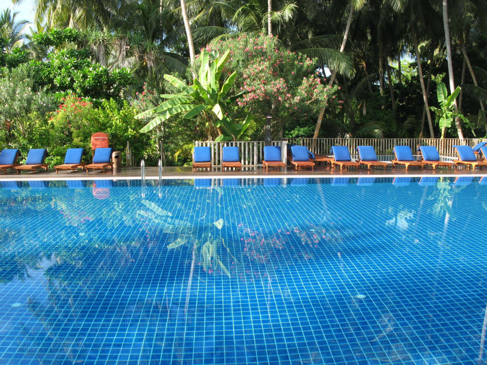Pool Vilamendhoo Island Resort & Spa