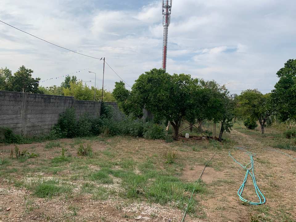 Gartenanlage Oryza Guest House & Suites