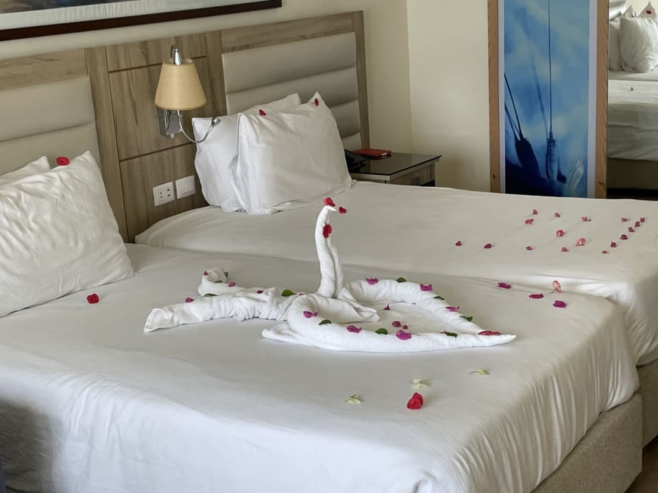 Zimmer Pickalbatros Dana Beach Resort - Hurghada