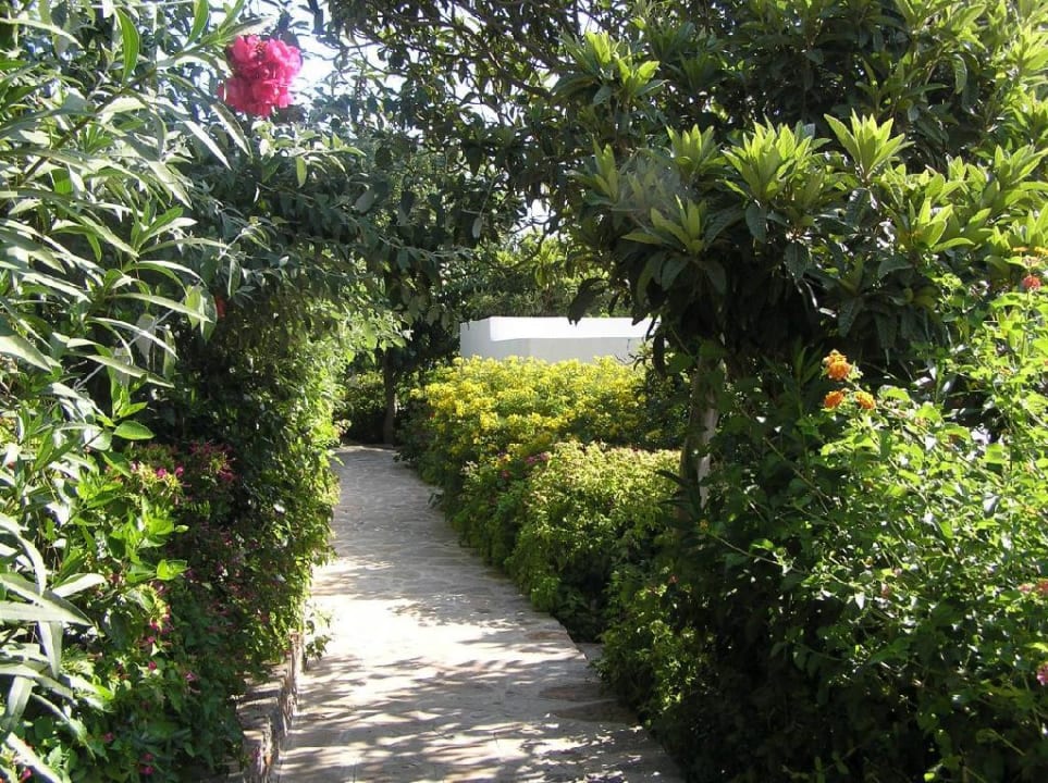 Weg zu den Bungalows Minos Beach Art Hotel