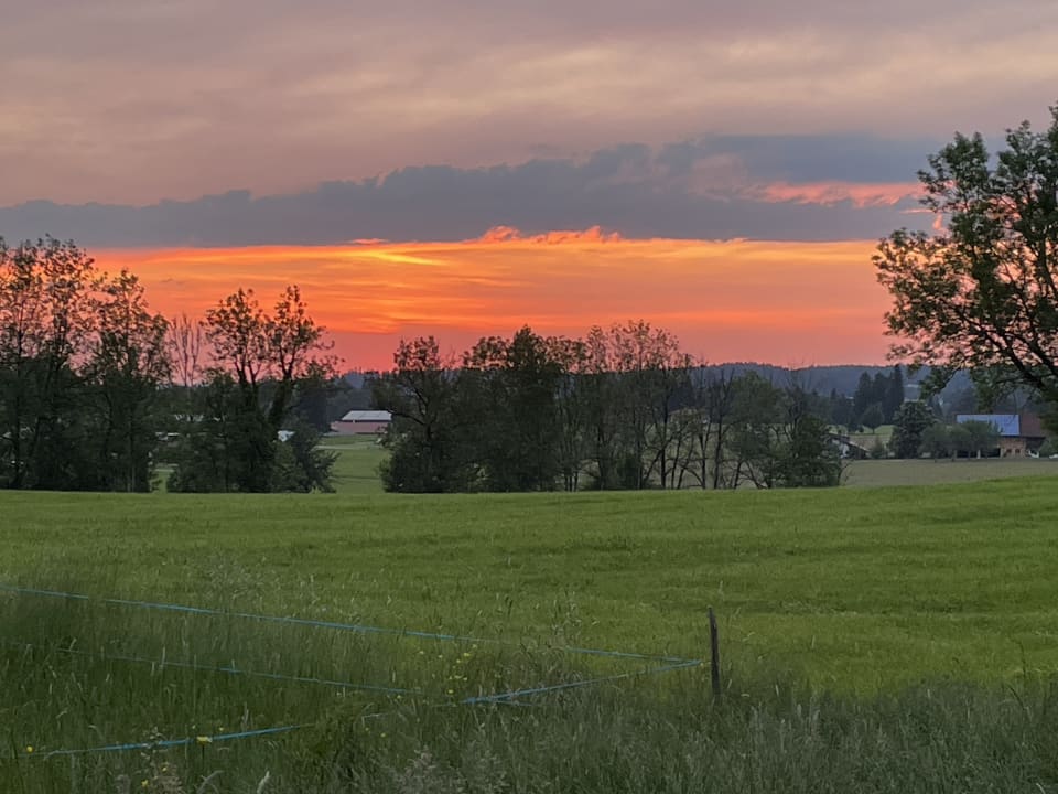 Ausblick Gesundheitshotel König