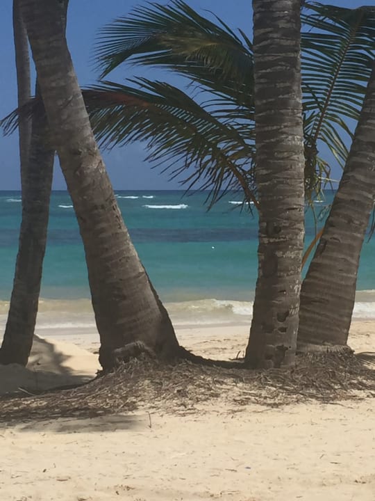 Strand Hotel Riu Palace Bavaro