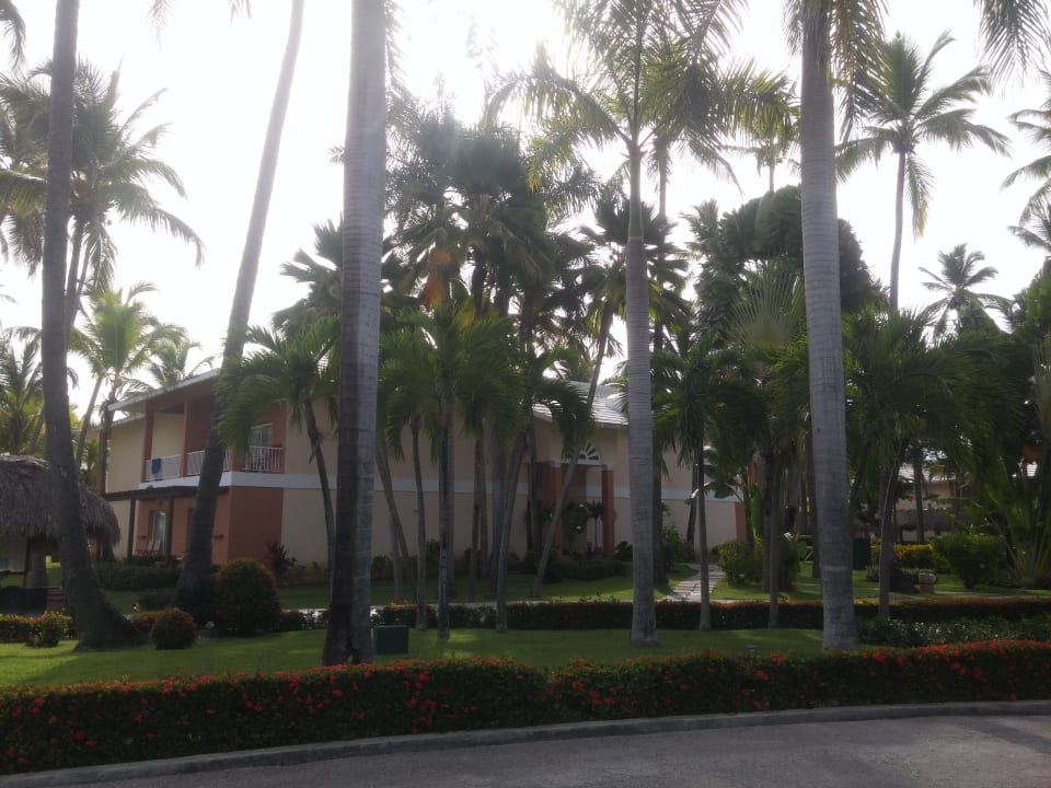 Gartenanlage Hotel Grand Palladium Palace Resort, Spa & Casino