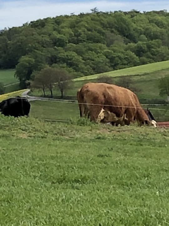 Ausblick Ferienhof Dingeldey