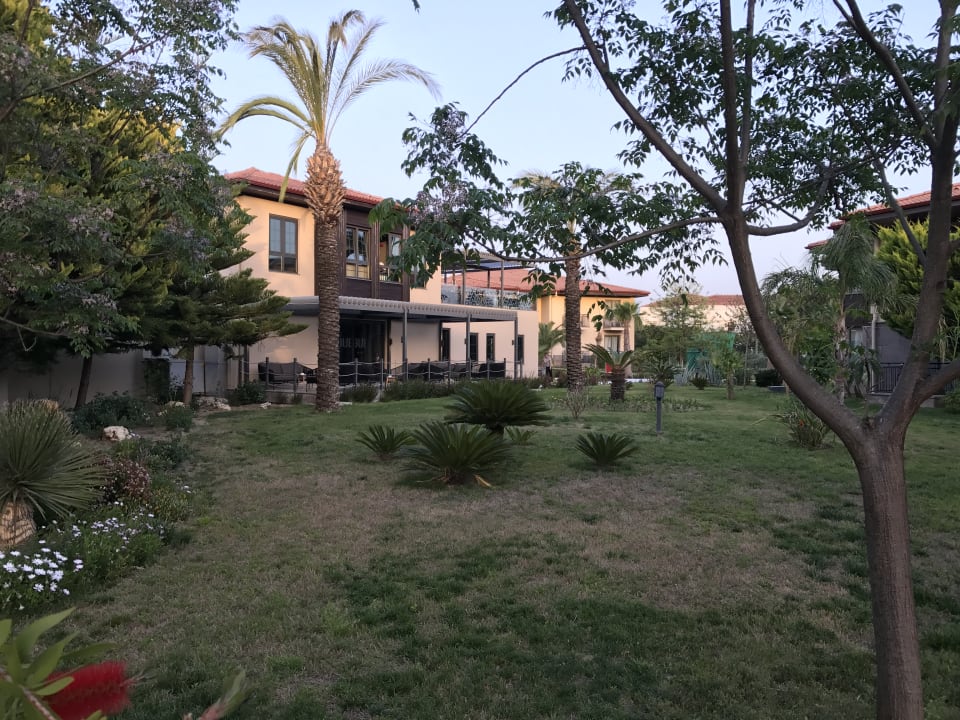 Gartenanlage TUI BLUE Palm Garden